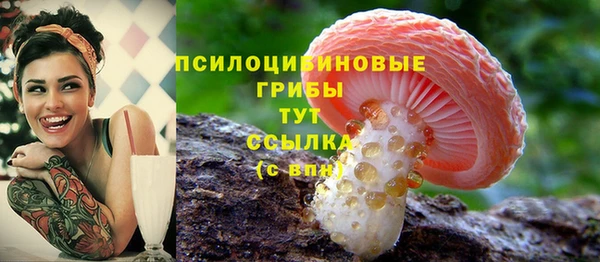 трава Абинск