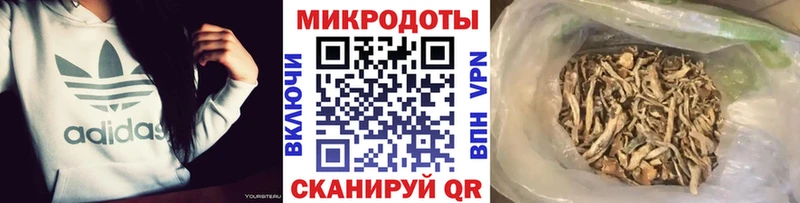 Галлюциногенные грибы GOLDEN TEACHER Приморско-Ахтарск