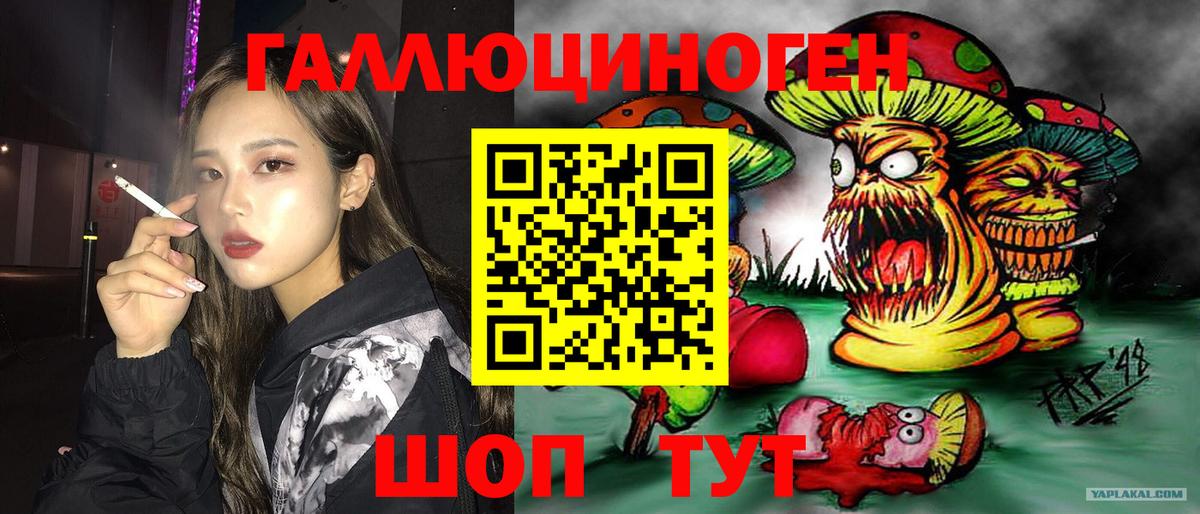 Галлюциногенные грибы MAGIC MUSHROOMS  Псилоцибиновые грибы ЛСД  магазин  наркотиков  Приморско-Ахтарск  Вход с VPN 