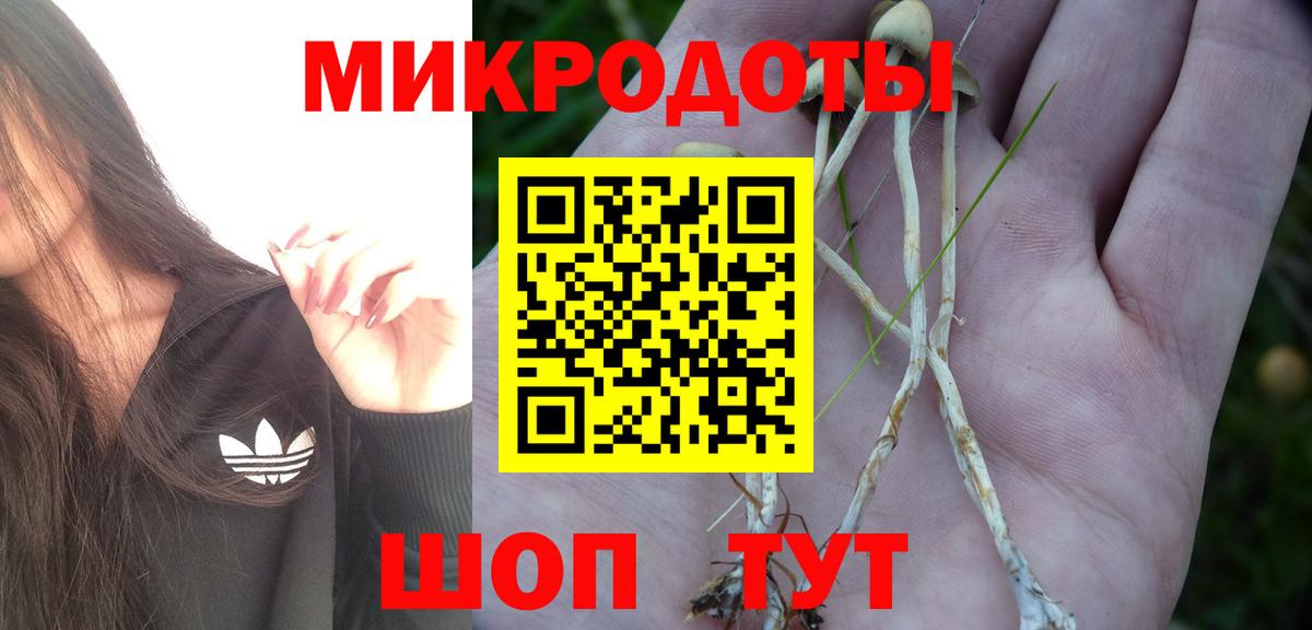 Галлюциногенные грибы мухоморы Приморско-Ахтарск